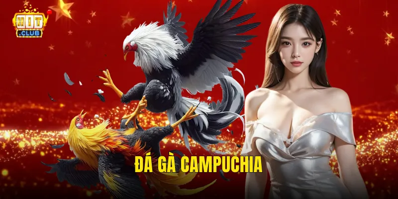Đá Gà Campuchia