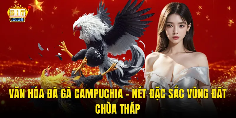 Văn Hóa Đá Gà Campuchia – Nét Đặc Sắc Vùng Đất Chùa Tháp