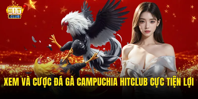 Xem Và Cược Đá Gà Campuchia Hitclub Cực Tiện Lợi