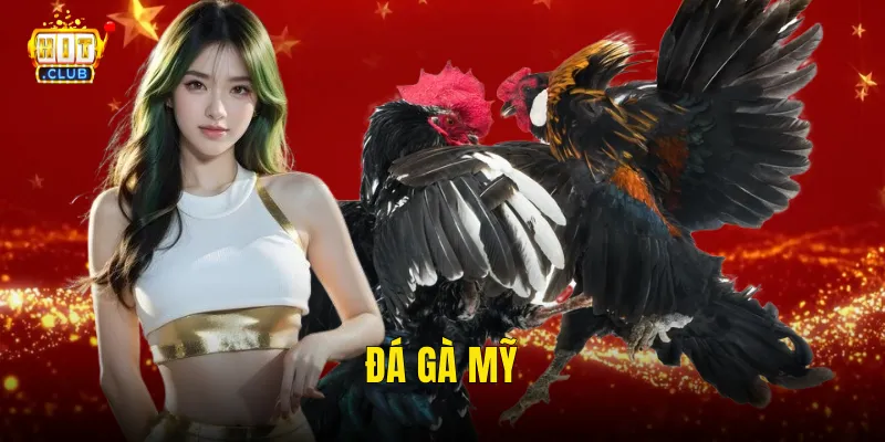 Đá Gà Mỹ