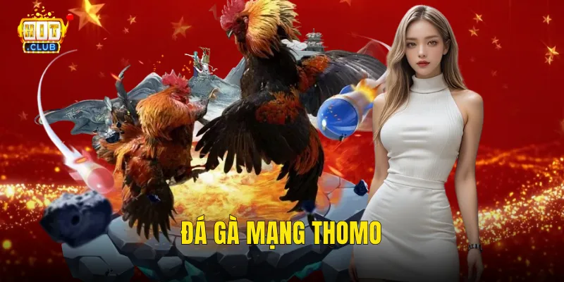 Đá Gà Mạng Thomo