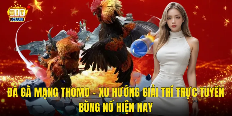 Đá Gà Mạng Thomo – Xu Hướng Giải Trí Trực Tuyến Bùng Nổ Hiện Nay