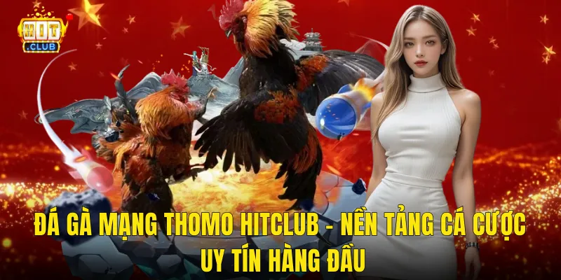 Đá Gà Mạng Thomo Hitclub – Nền Tảng Cá Cược Uy Tín Hàng Đầu