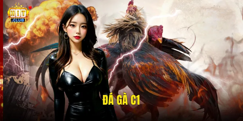 Đá Gà C1