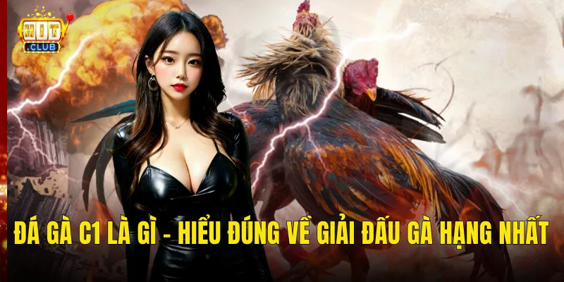 Đá Gà C1 Là Gì – Hiểu Đúng Về Giải Đấu Gà Hạng Nhất