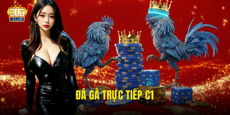 Đá Gà Trực Tiếp C1