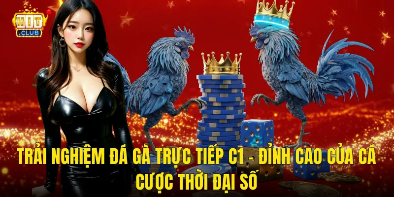 Trải Nghiệm Đá Gà Trực Tiếp C1 – Đỉnh Cao Của Cá Cược Thời Đại Số