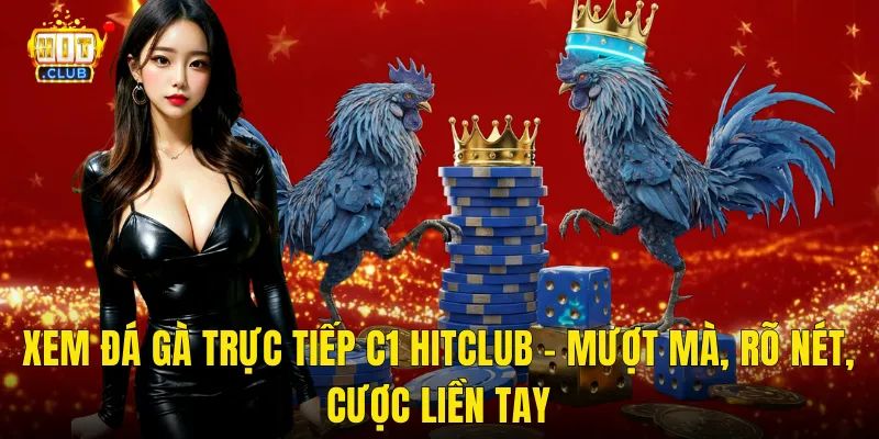 Xem Đá Gà Trực Tiếp C1 Hitclub – Mượt Mà, Rõ Nét, Cược Liền Tay