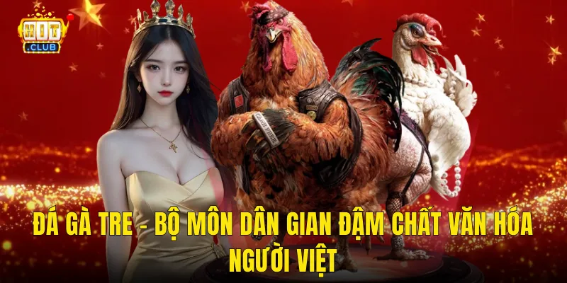 Đá Gà Tre – Bộ Môn Dân Gian Đậm Chất Văn Hóa Người Việt