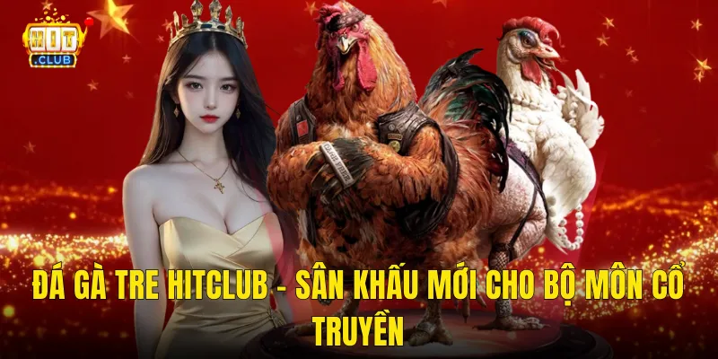 Đá Gà Tre Hitclub – Sân Khấu Mới Cho Bộ Môn Cổ Truyền