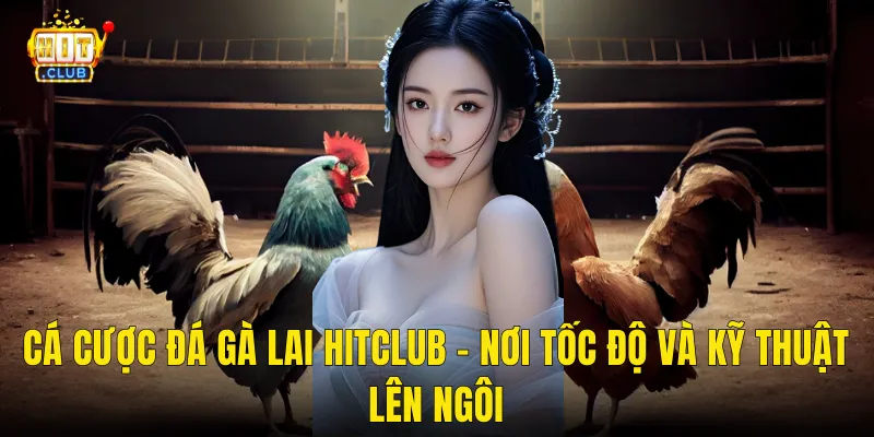 Cá Cược Đá Gà Lai Hitclub – Nơi Tốc Độ Và Kỹ Thuật Lên Ngôi
