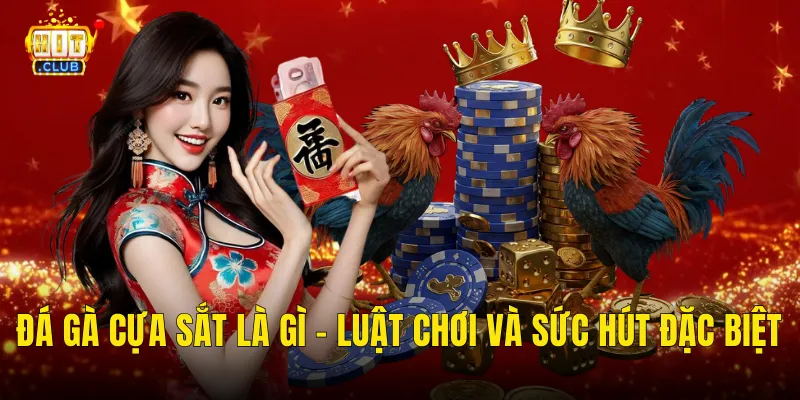 Đá Gà Cựa Sắt Là Gì – Luật Chơi Và Sức Hút Đặc Biệt
