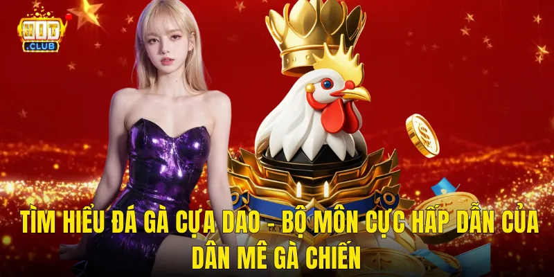 Tìm Hiểu Đá Gà Cựa Dao – Bộ Môn Cực Hấp Dẫn Của Dân Mê Gà Chiến