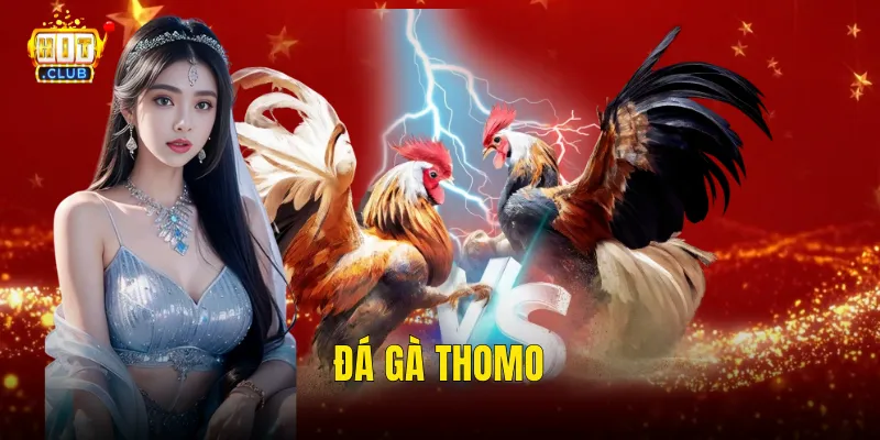 Đá Gà Thomo