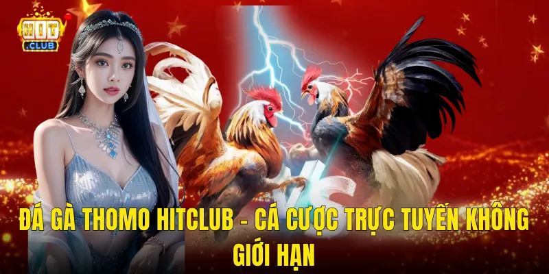 Đá Gà Thomo Hitclub – Cá Cược Trực Tuyến Không Giới Hạn